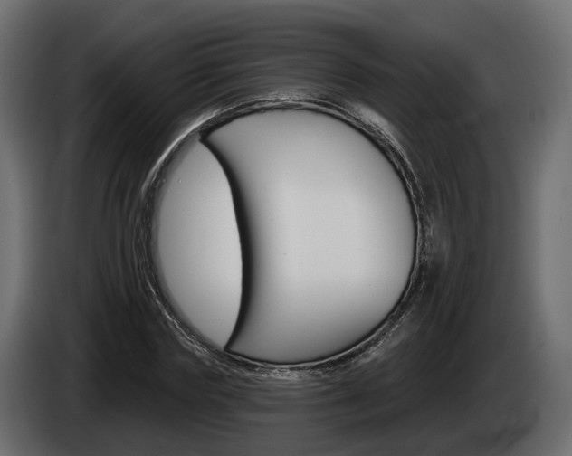 X0000085040827200703051023