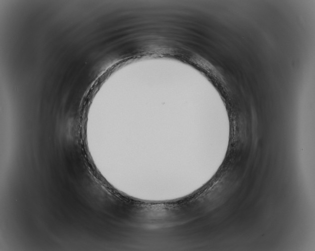 X0000085040828200703051023