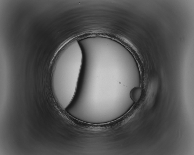 X0000085040829200703051023