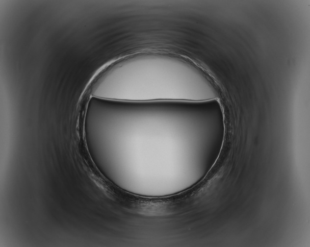 X0000085040830200703051023