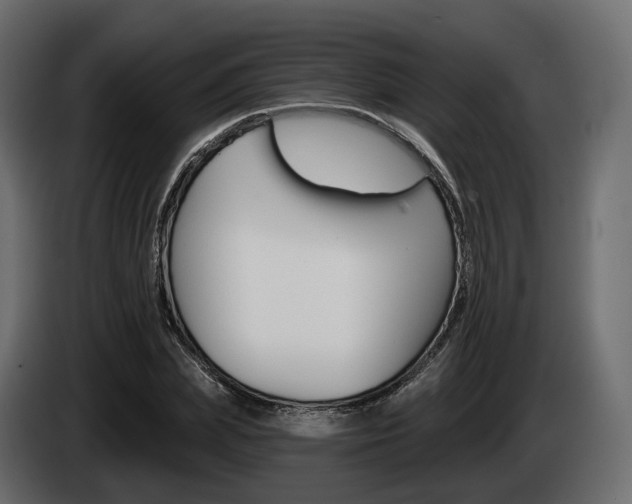 X0000085040831200703051023