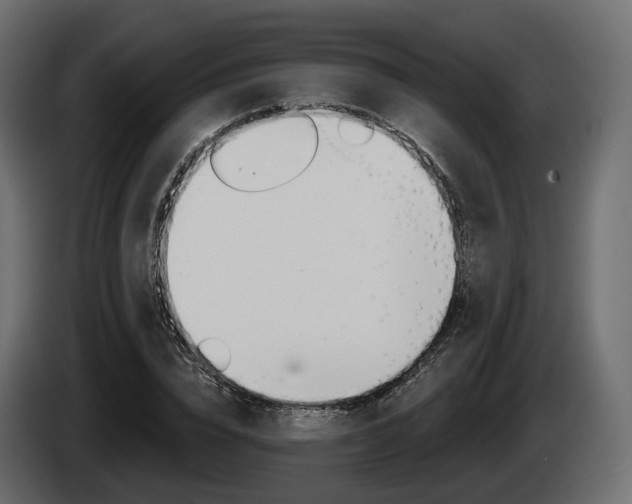 X0000085040832200703051023