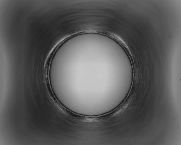 X0000085040835200703051023