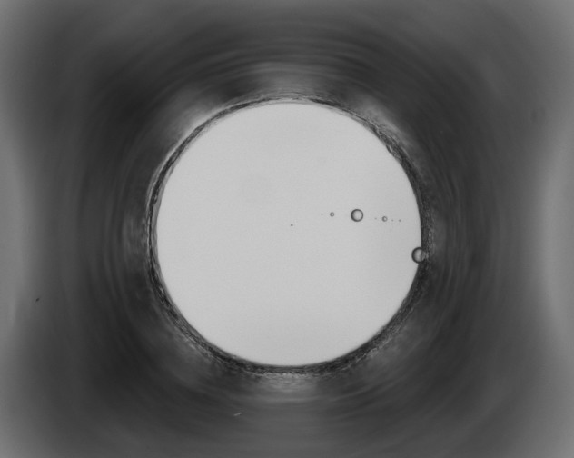X0000085040836200703051023