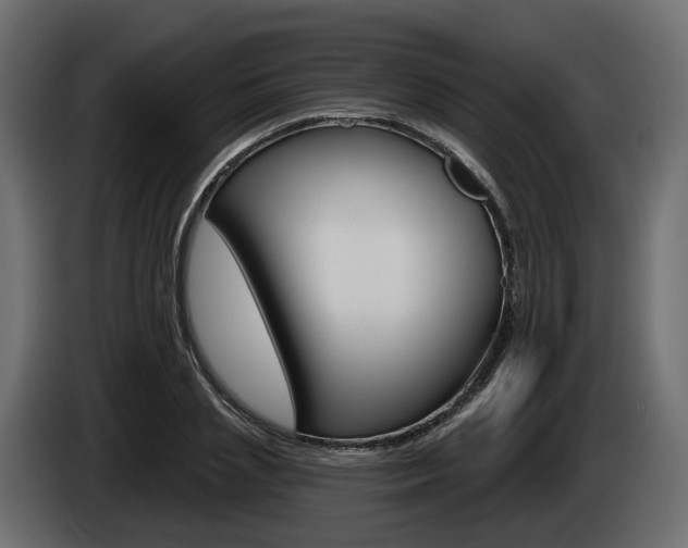 X0000085040837200703051023