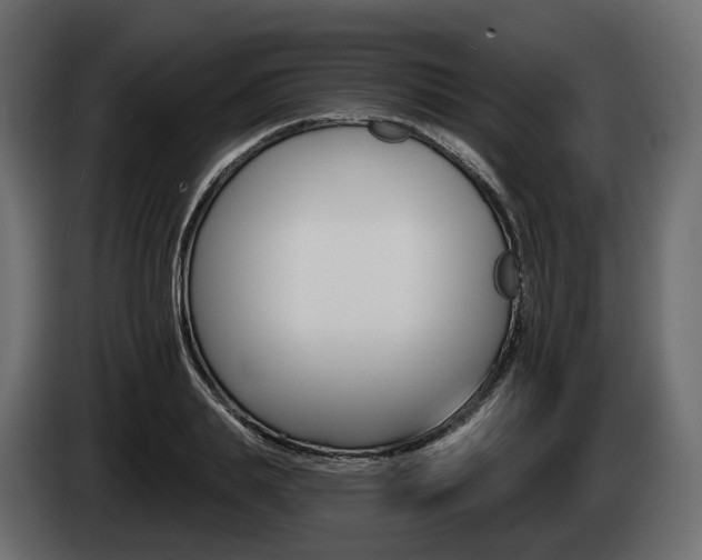 X0000085040839200703051023