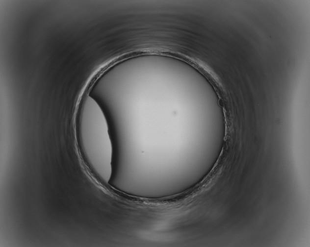 X0000085040840200703051023
