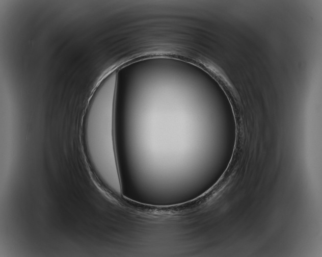 X0000085040842200703051023