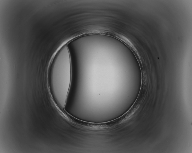 X0000085040843200703051023