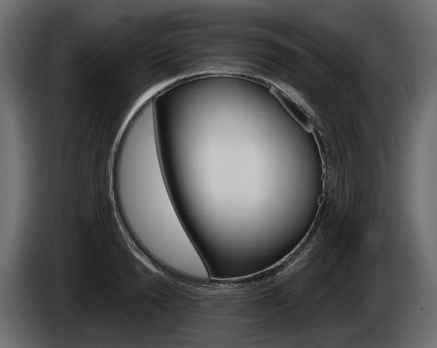 X0000085040846200703051024