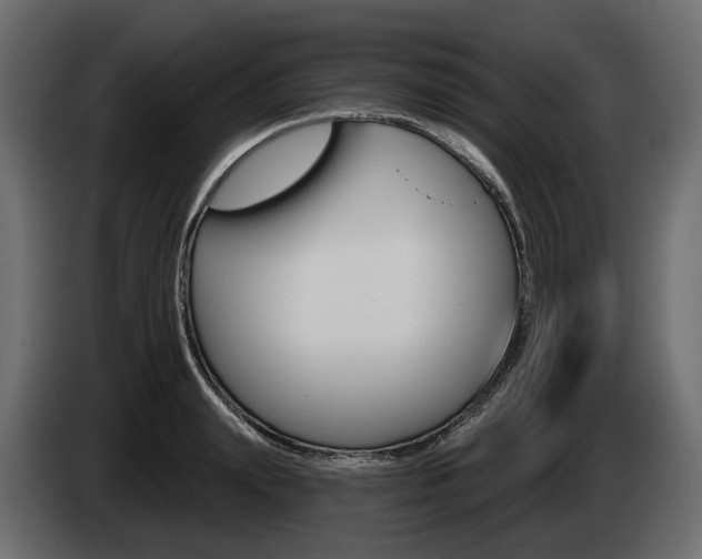 X0000085040847200703051024