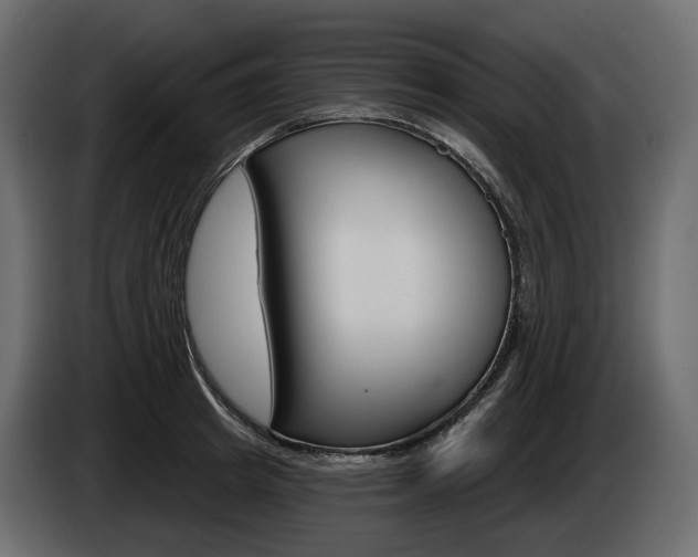 X0000085040849200703051024