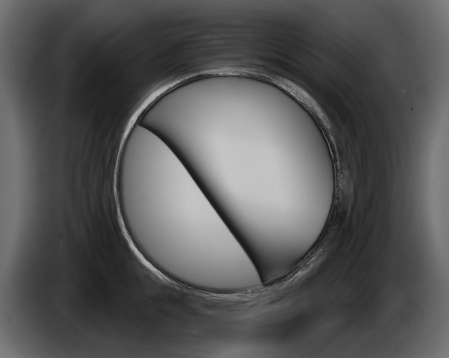X0000085040855200703051024