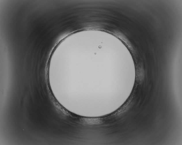 X0000085040856200703051024