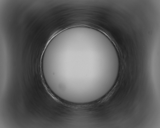 X0000085040858200703051024