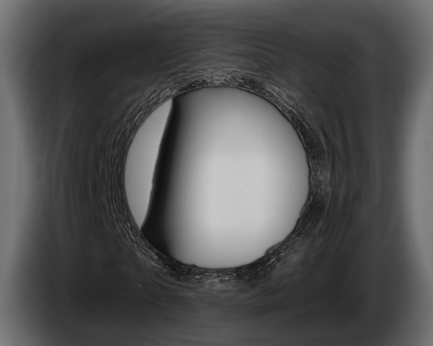 X0000085040865200703051023