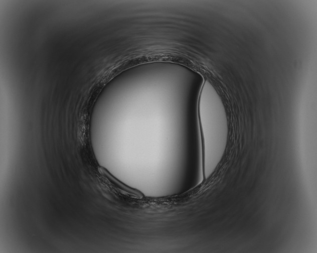 X0000085040868200703051023