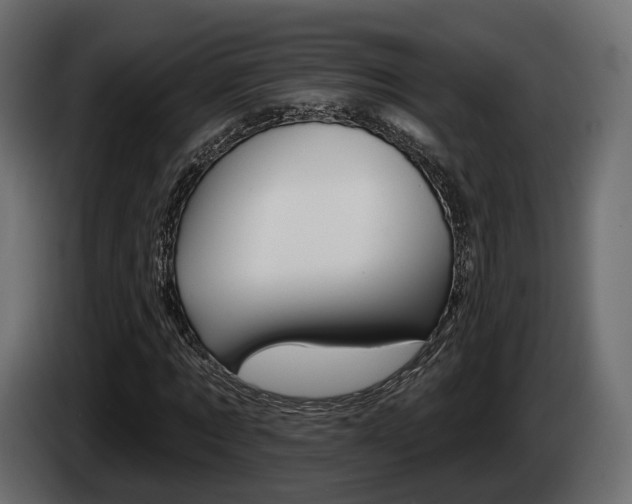 X0000085040869200703051023