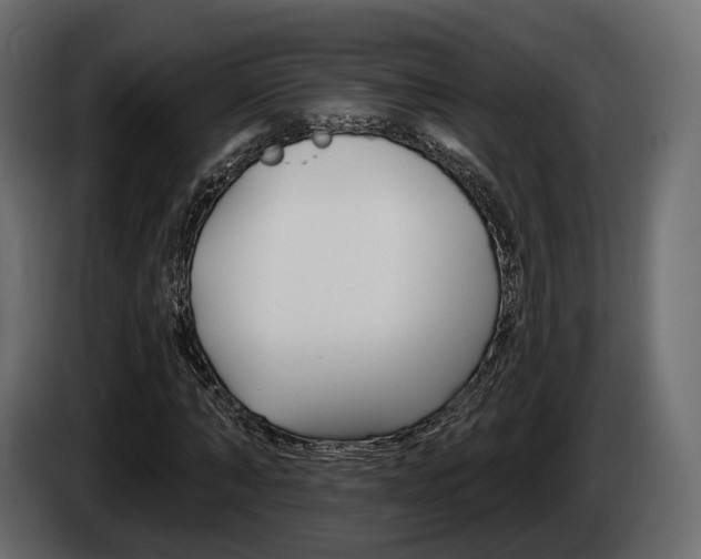 X0000085040870200703051023