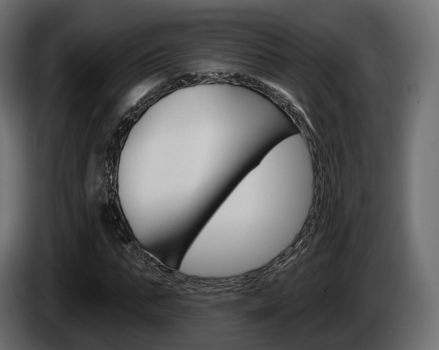 X0000085040871200703051023