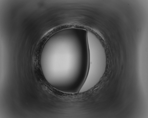 X0000085040872200703051023