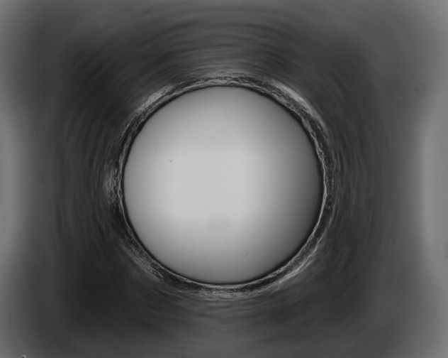 X0000085040873200703051023