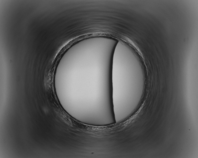 X0000085040875200703051023