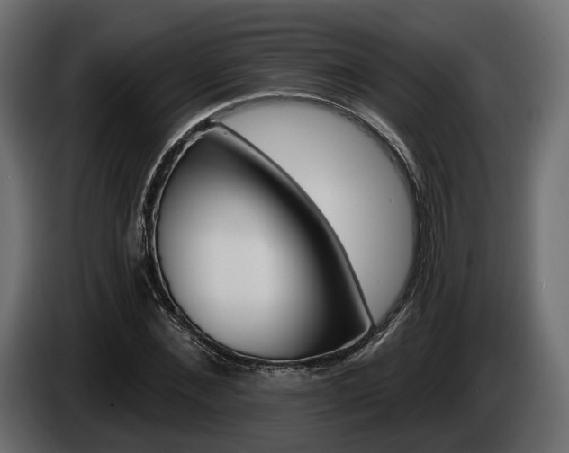 X0000085040876200703051023