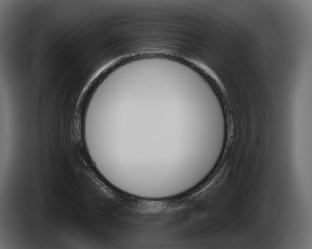 X0000085040878200703051023