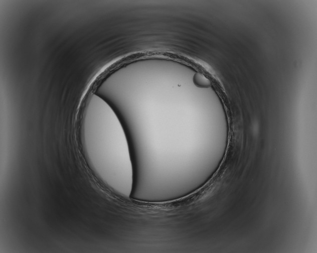 X0000085040879200703051023