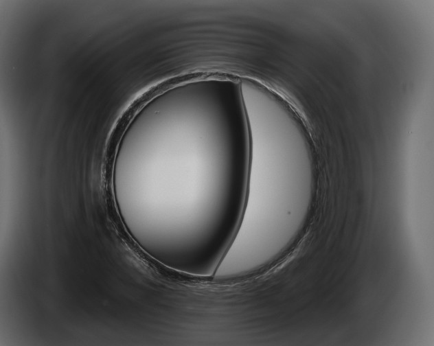 X0000085040880200703051023