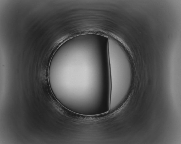 X0000085040881200703051023
