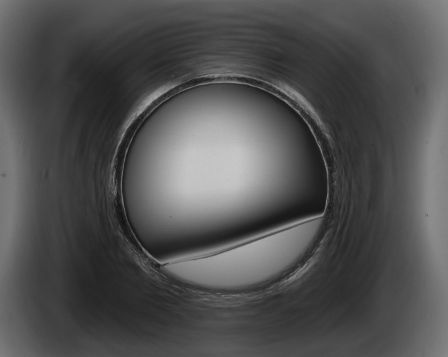 X0000085040885200703051023