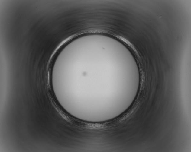 X0000085040886200703051023