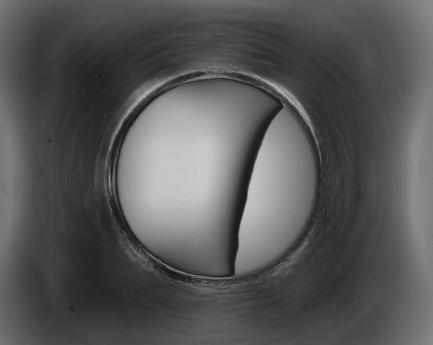 X0000085040887200703051023