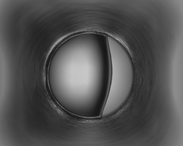 X0000085040888200703051023