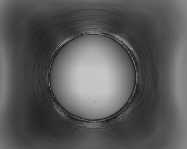 X0000085040889200703051023