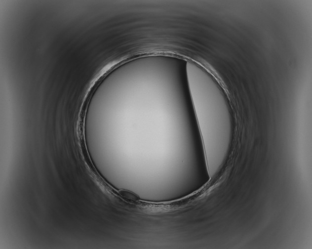 X0000085040893200703051023