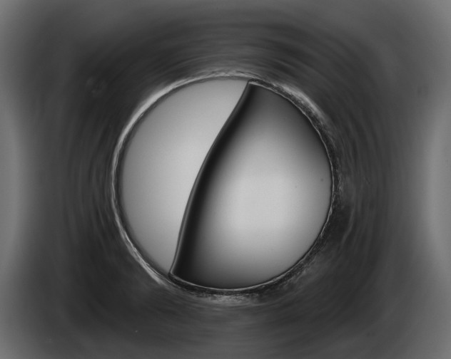 X0000085040894200703051023