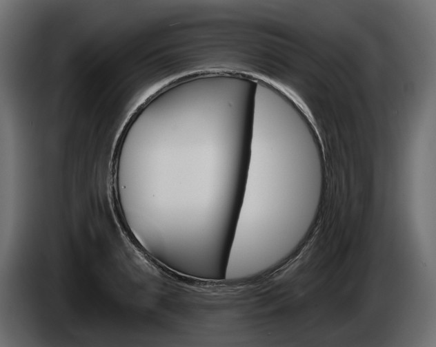 X0000085040895200703051023