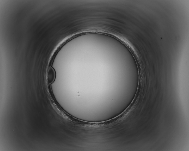 X0000085040896200703051023
