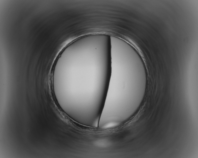 X0000085040899200703051023
