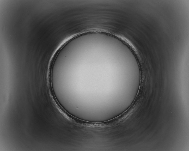 X0000085040902200703051023