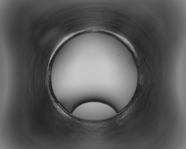 X0000085040903200703051023