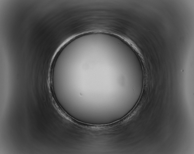 X0000085040904200703051023