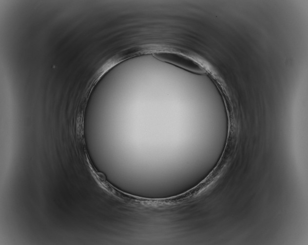 X0000085040905200703051023