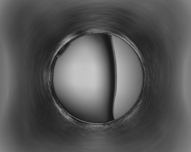 X0000085040909200703051023