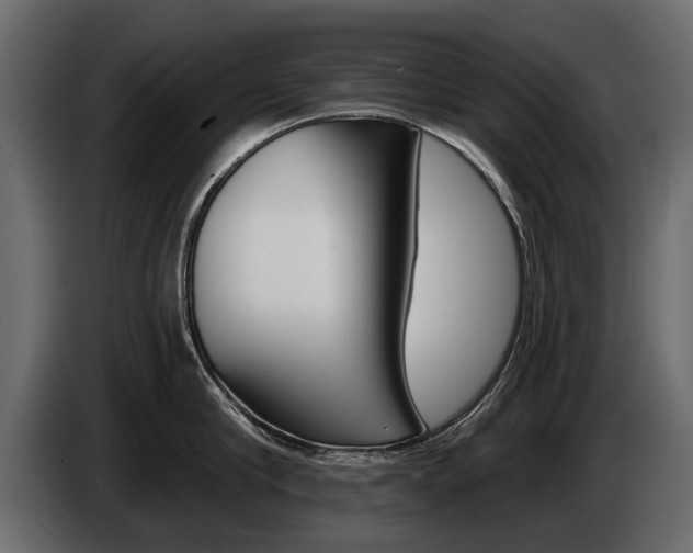 X0000085040910200703051023