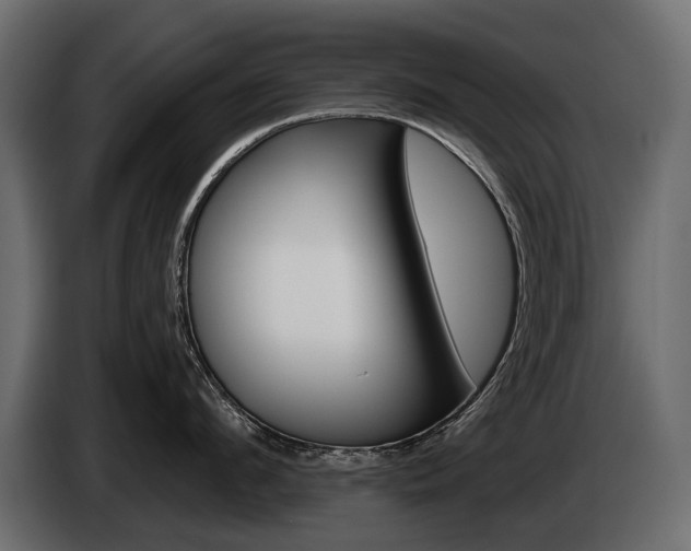 X0000085040912200703051023