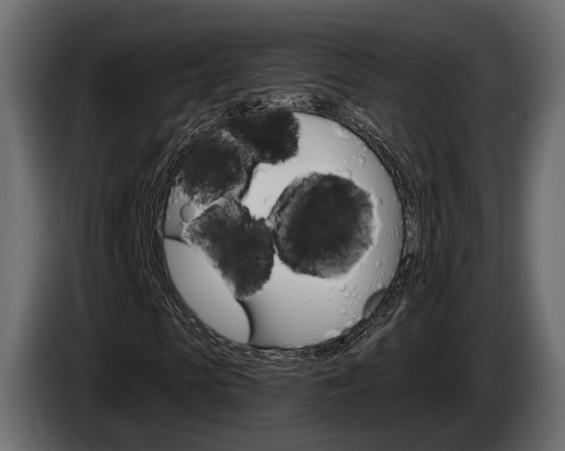 X0000085040913200703051022